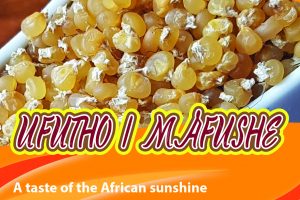 uFutho (Boiled then dried fresh corn)