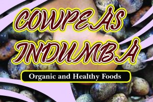 COWPEAS/INDUMBA