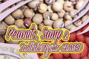 ISIMONE ( SAMP, PEANUTS, ROUNDNUTS COMBO)