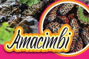 AMACIMBI/MADORA/MOPANE WORMS
